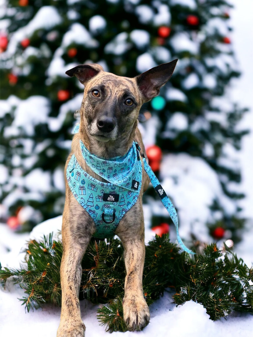 Christmas at Tiffanys - Bandana