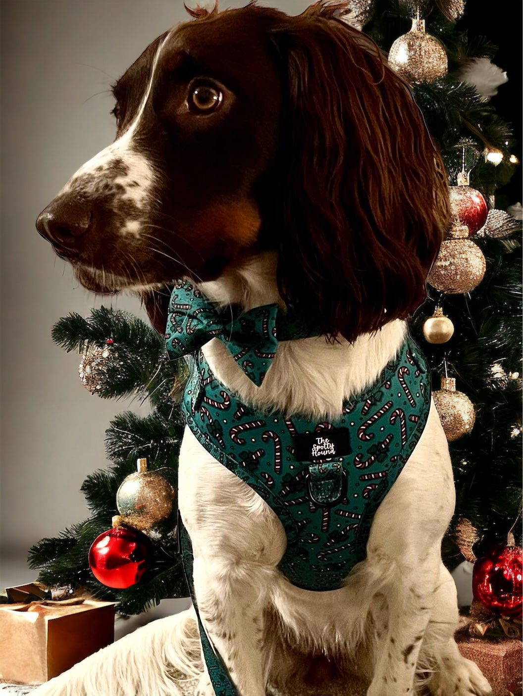 Candy Cane Cutie - Harness