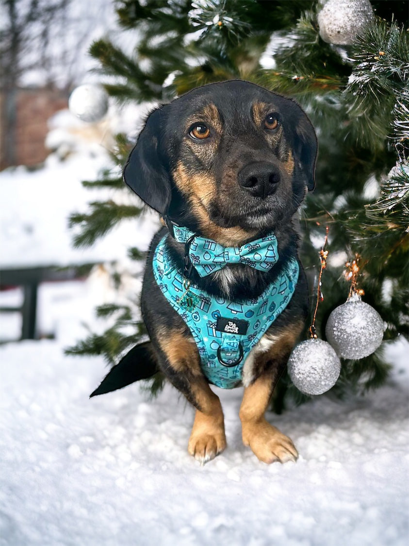 Christmas at Tiffany’s - Bow Tie