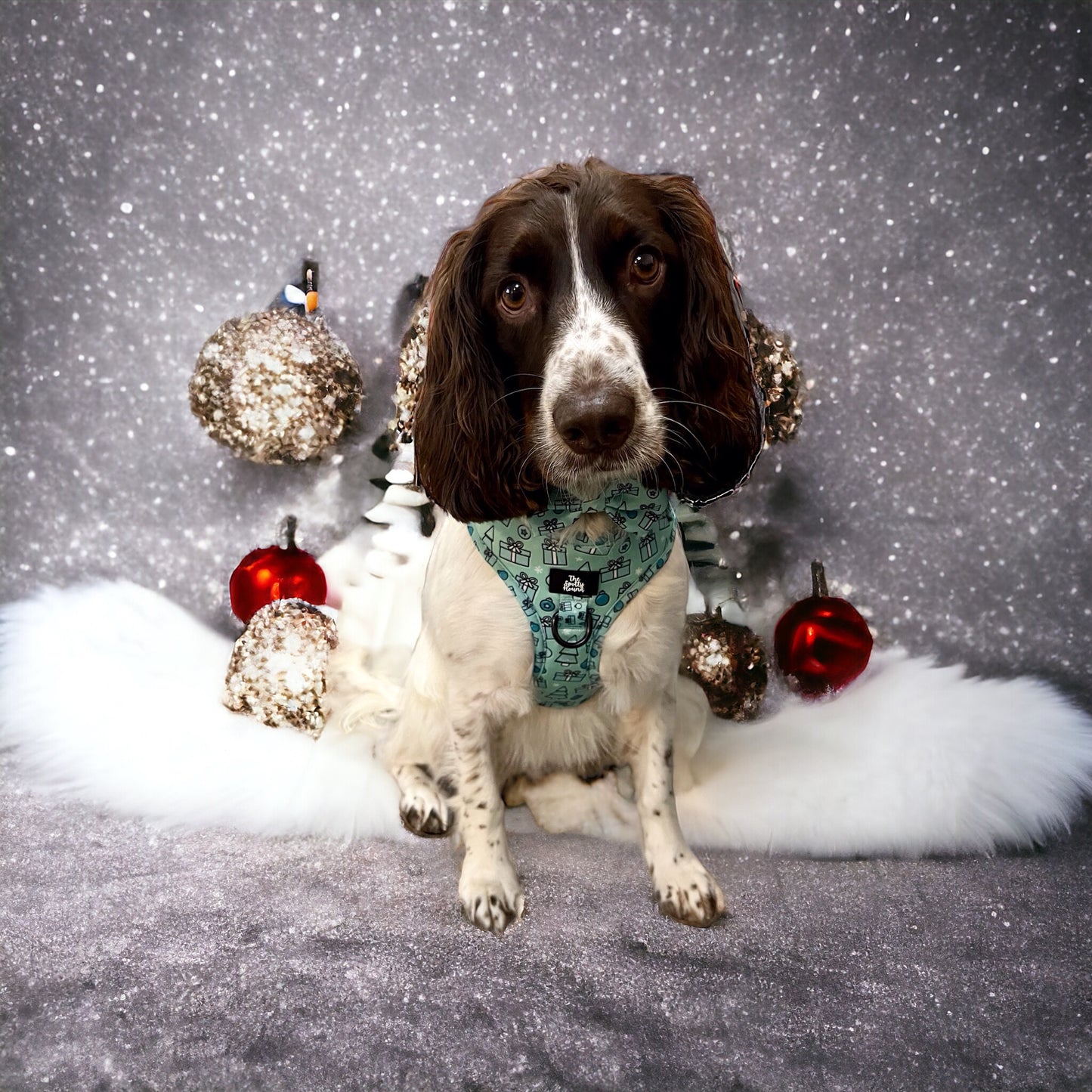 Christmas at Tiffany’s - Harness