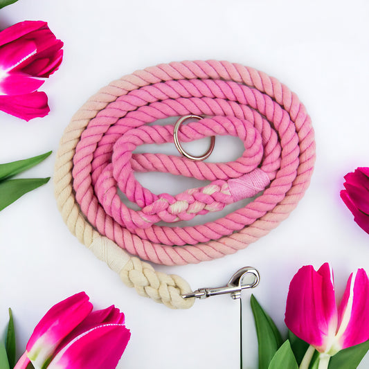 Baby Pink Ombre Rope Lead