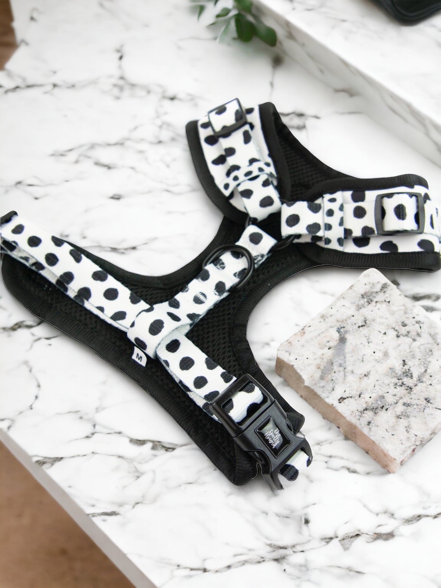 Dixie Dalmatian - Harness