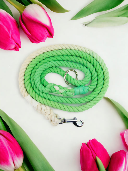 Leaf Green Ombre Rope Lead