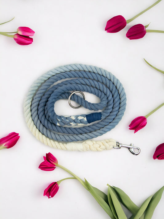 Royal Blue Ombre Rope Lead