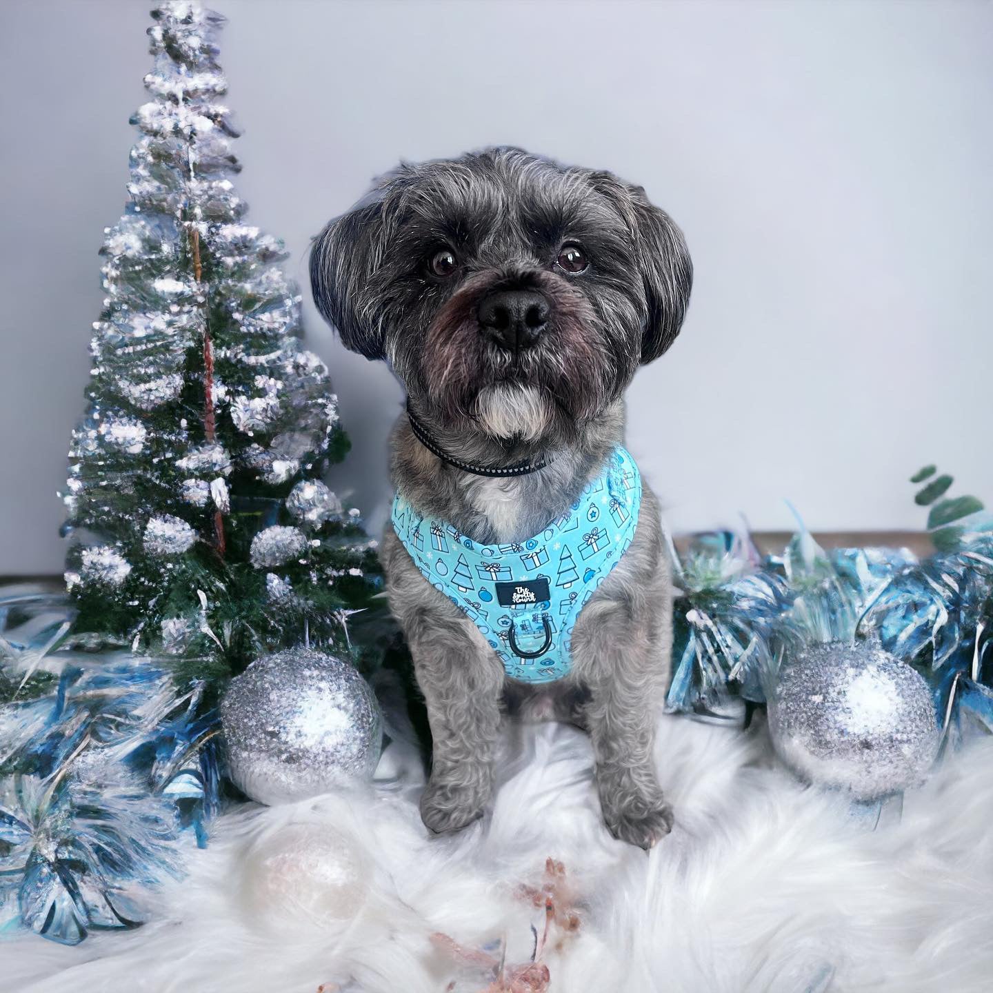 Christmas at Tiffany’s - Harness