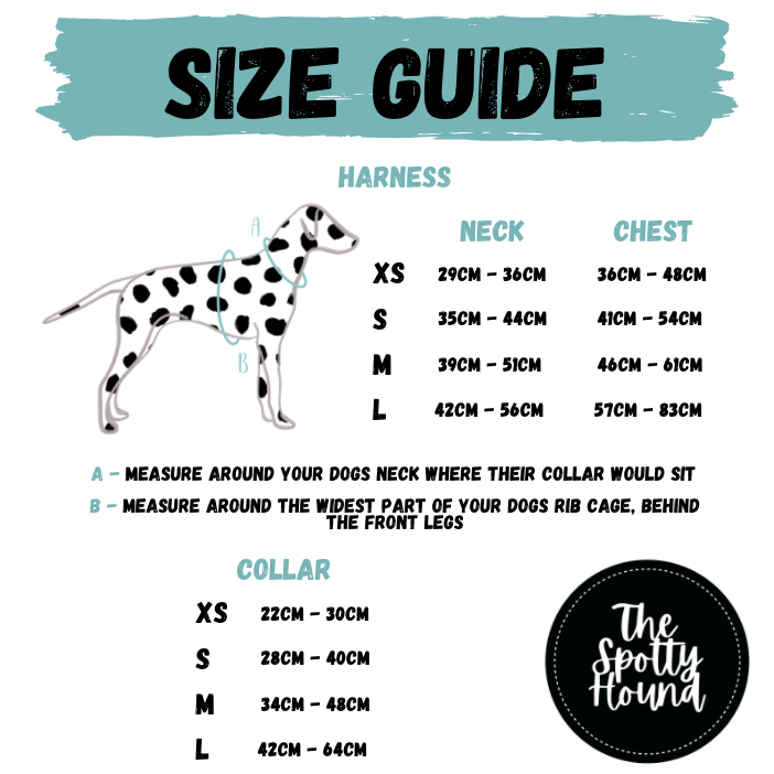 Dixie Dalmatian - Harness