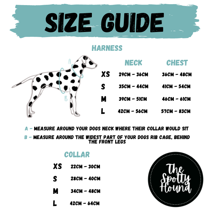 Dixie Dalmatian - Collar
